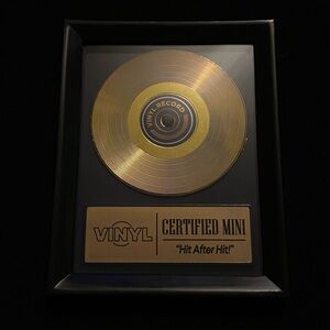 Zuru Mini Brands Really Works Vinyl Rare Gold Accessories
- Golden Record Award